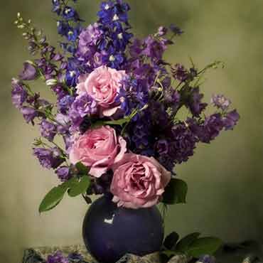 电话短信轰炸机